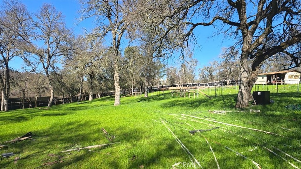 123 Railbridge Road Oroville, CA 95966 - Photo 16 of 22 a view of a park with large trees