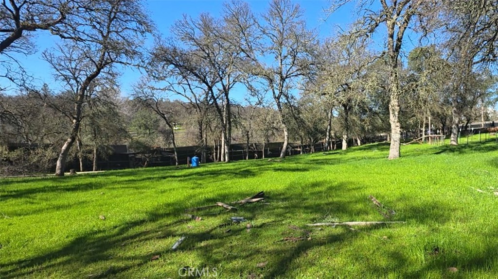 123 Railbridge Road Oroville, CA 95966 - Photo 17 of 22 a view of a park with large trees