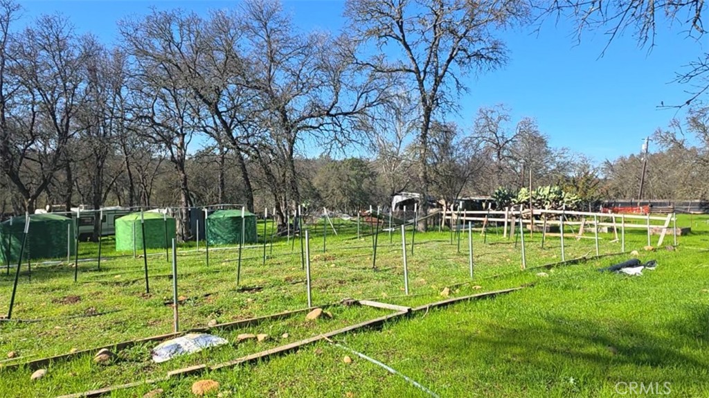 123 Railbridge Road Oroville, CA 95966 - Photo 8 of 22 a view of a park with basketball court