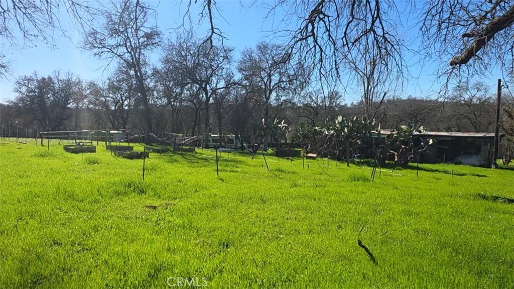 123 Railbridge Road Oroville, CA 95966 - Photo 9 of 22 a swimming pool with plants and large trees