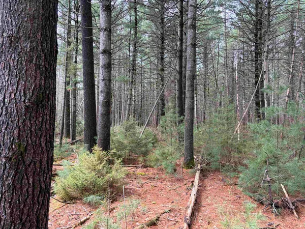 $99,000 | On Whispering Pines Lane, Tomahawk, WI 54487