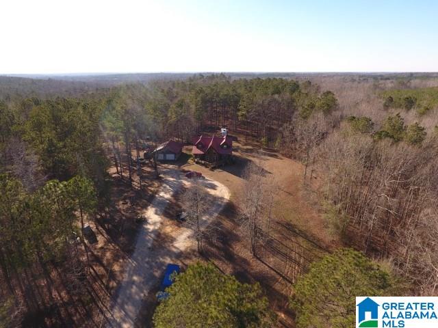 1899 County Road 76 Clanton, AL 35045 - Photo 6 of 41