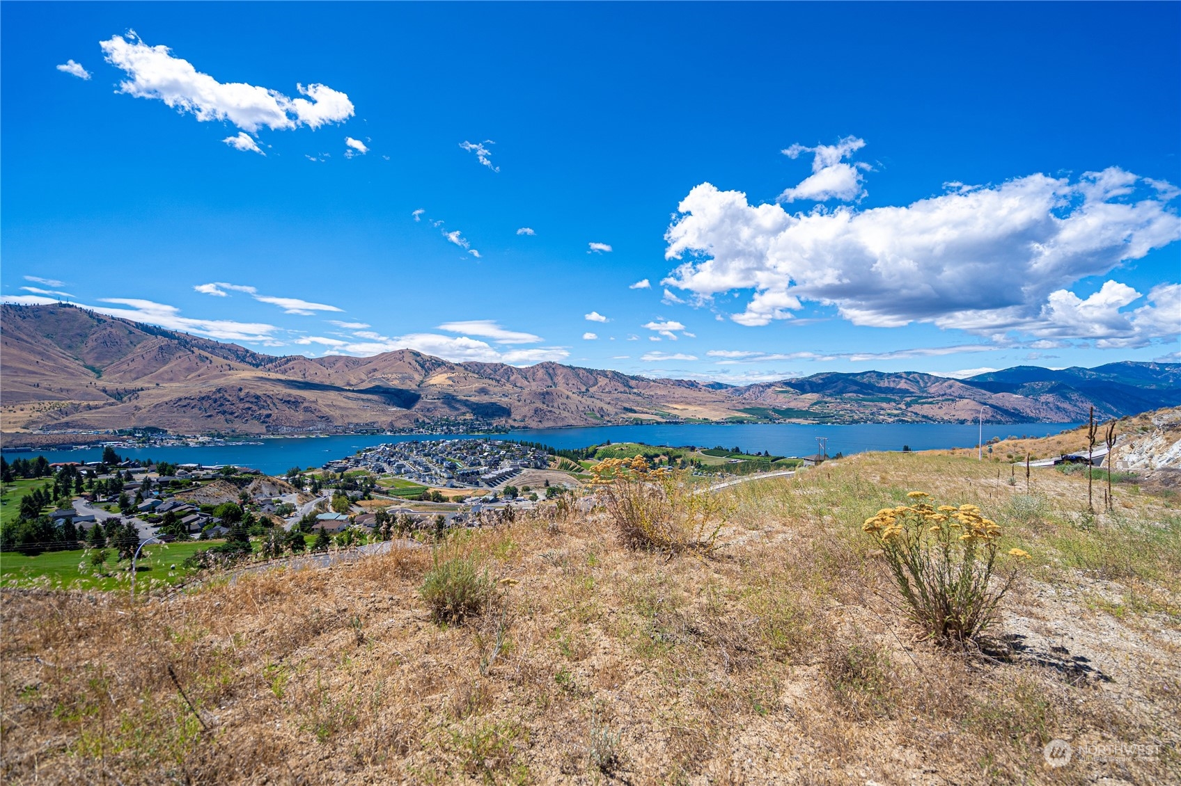 929 Long Drive Chelan, WA 98816 - Photo 7 of 23 a view of a yard with an outdoor space