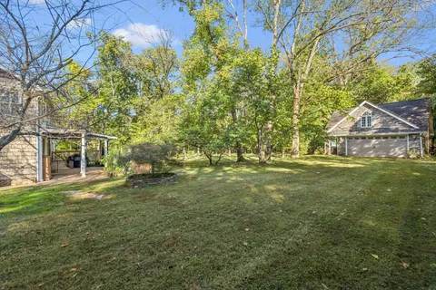 a view of a tree in a forest
