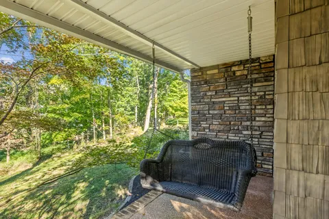 a view of a park with large trees