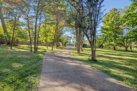 a view of outdoor space and yard