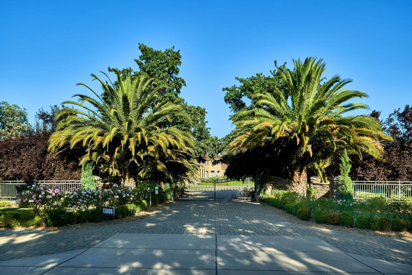 13800 Watsonville Road Morgan Hill, CA 95037 - Photo 4 of 74 a view of a garden with palm tree
