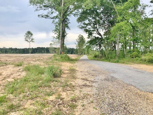 0 Paul Honea Road Magnolia, MS 39652 - Photo 18 of 28 Photo 18