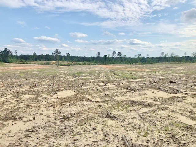 0 Paul Honea Road Magnolia, MS 39652 - Photo 5 of 28 Photo 5