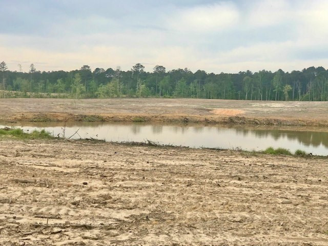 0 Paul Honea Road Magnolia, MS 39652 - Photo 8 of 28 Photo 8
