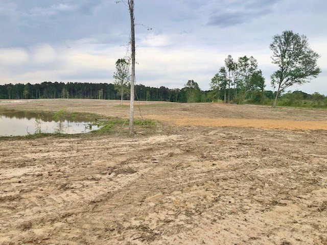 0 Paul Honea Road Magnolia, MS 39652 - Photo 10 of 28 Photo 10