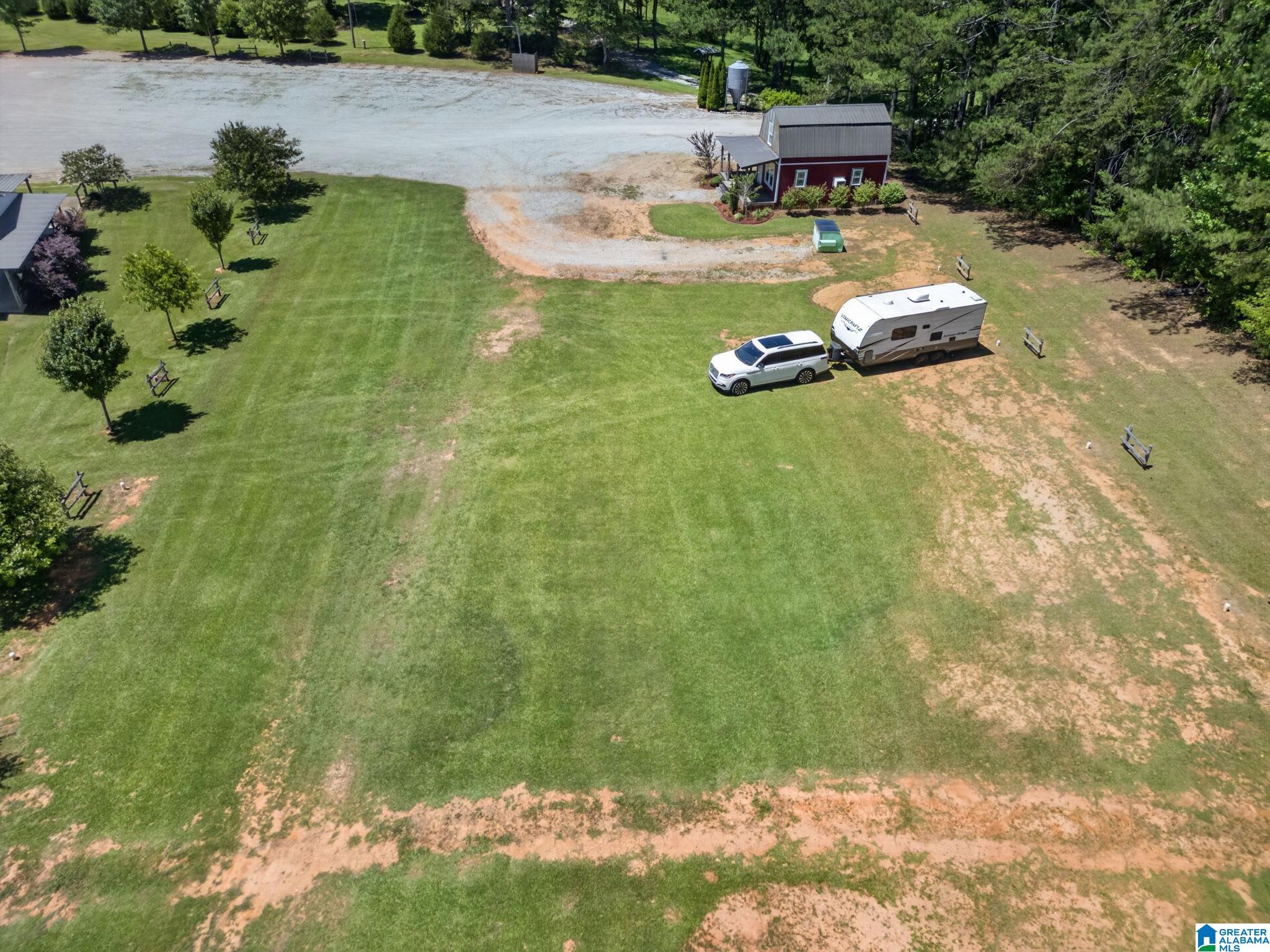 3463 County Road 3 Delta, AL 36258 - Photo 3 of 100