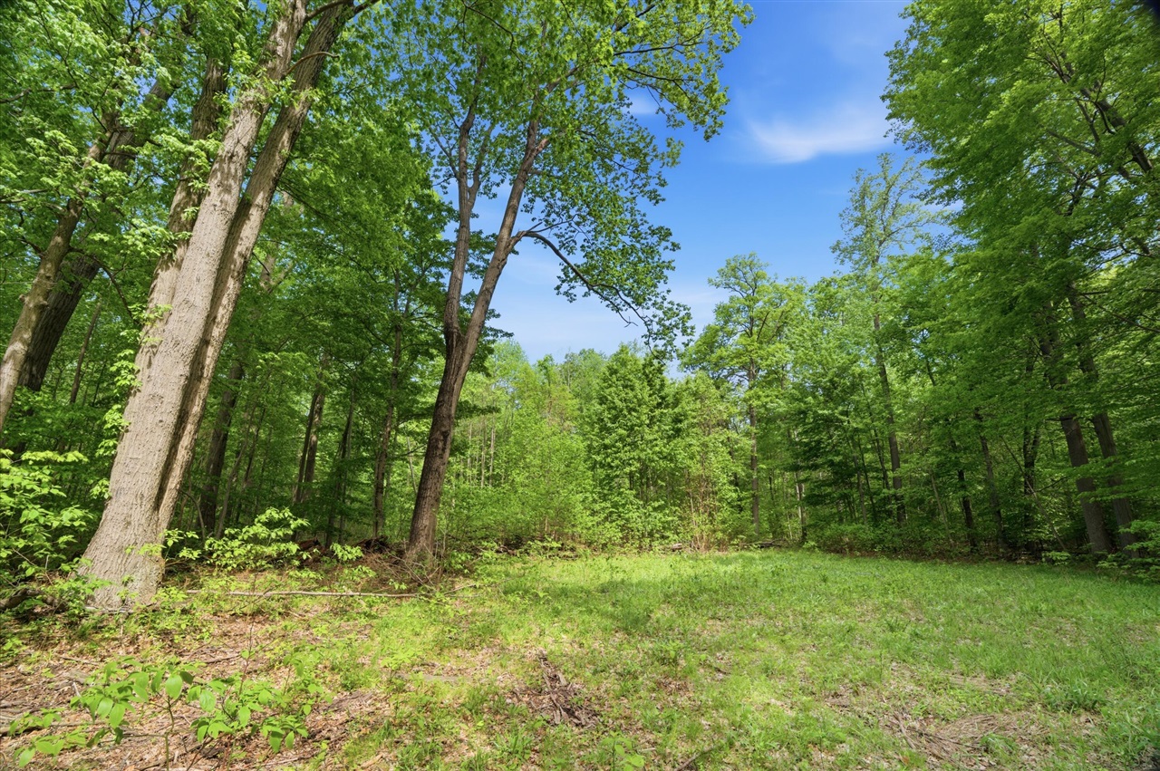 0 Red Arrow Highway Lakeside, MI 49128 - Photo 7 of 25