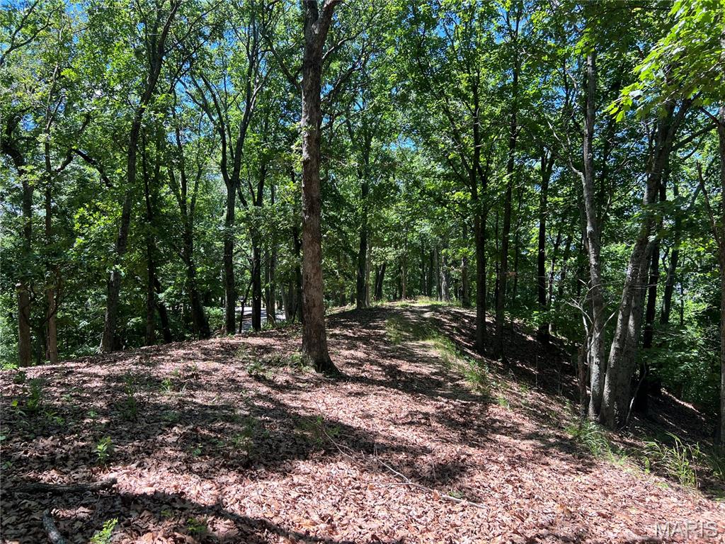 1055 Wings Road St. Albans, MO 63073 - Photo 14 of 21