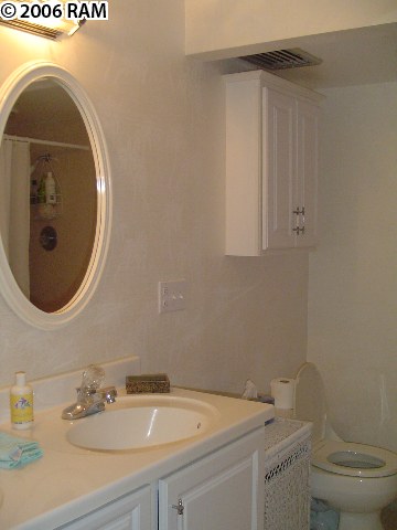 811 South Kihei Road, Unit 1F Kihei, HI 96753 - Photo 16 of 19 a bathroom with a sink and a mirror