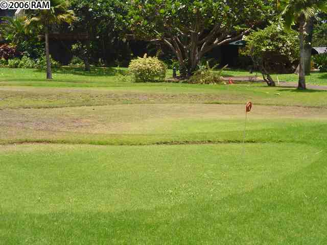 811 South Kihei Road, Unit 1F Kihei, HI 96753 - Photo 3 of 19 a view of a golf course with a lake