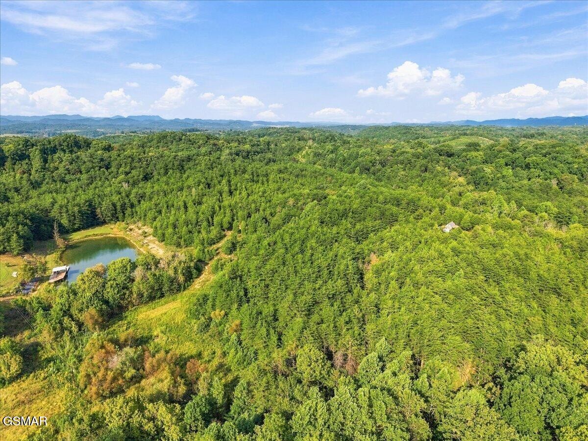 0 Green Road Bulls Gap, TN 37711 - Photo 10 of 11 Gallery Image 10