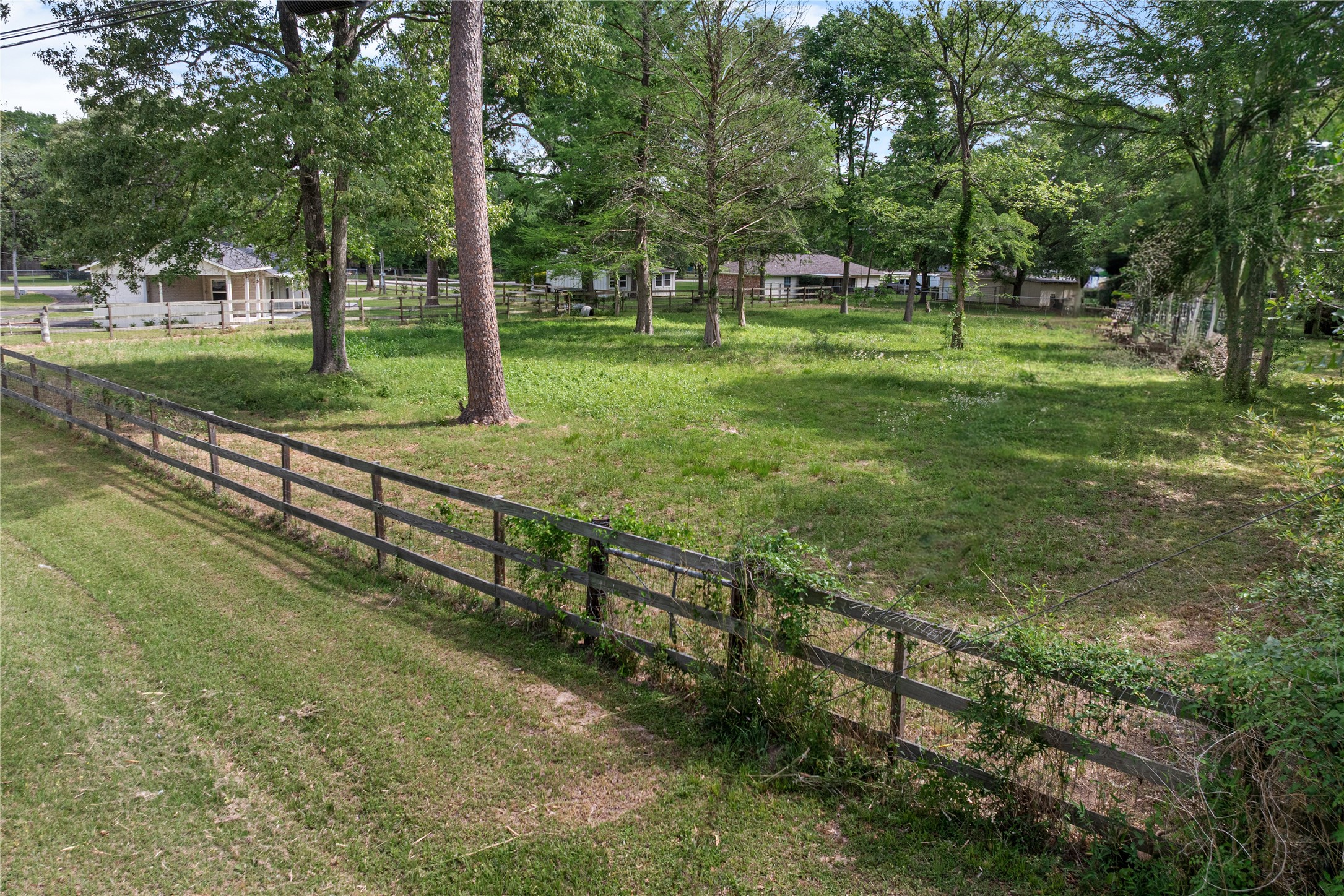16027 Barbara Lane Magnolia, TX 77355 - Photo 38 of 40 a view of a park with large trees