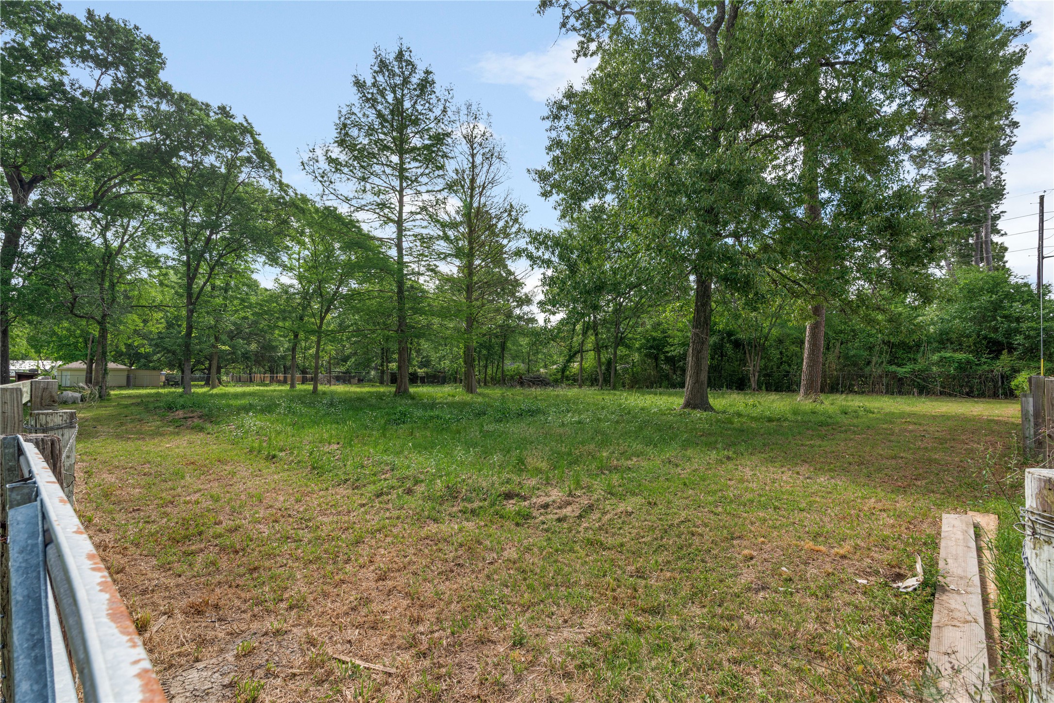 16027 Barbara Lane Magnolia, TX 77355 - Photo 5 of 40 a view of a field with trees