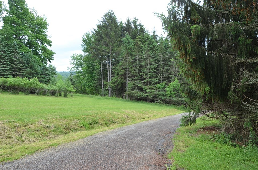 985 Bow Bridge Road Little Meadows, PA 18830 - Photo 45 of 53 Gallery Image 45