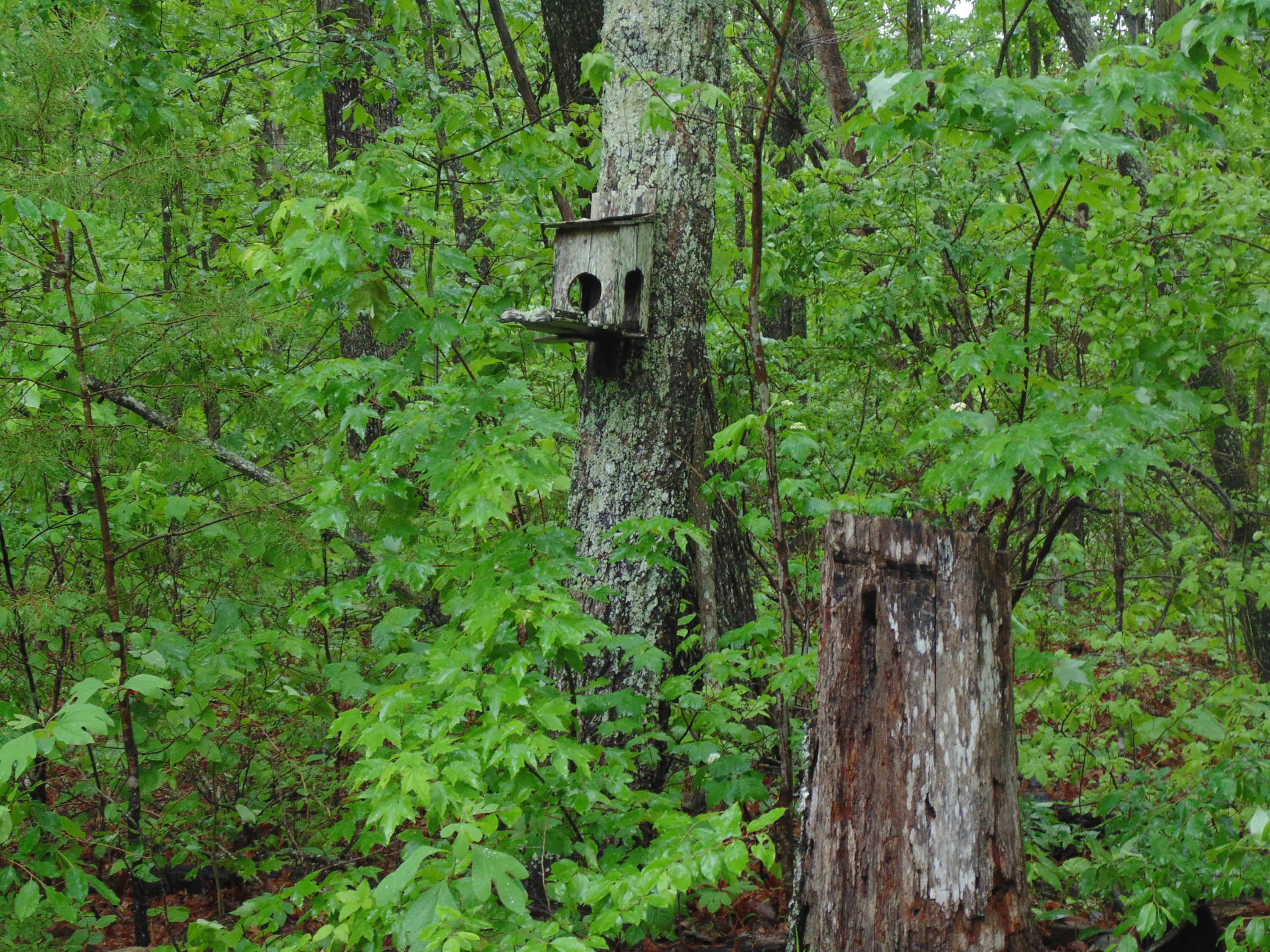 250 Stone Creek Road Rising Fawn, GA 30738 - Photo 49 of 53 DSC03364