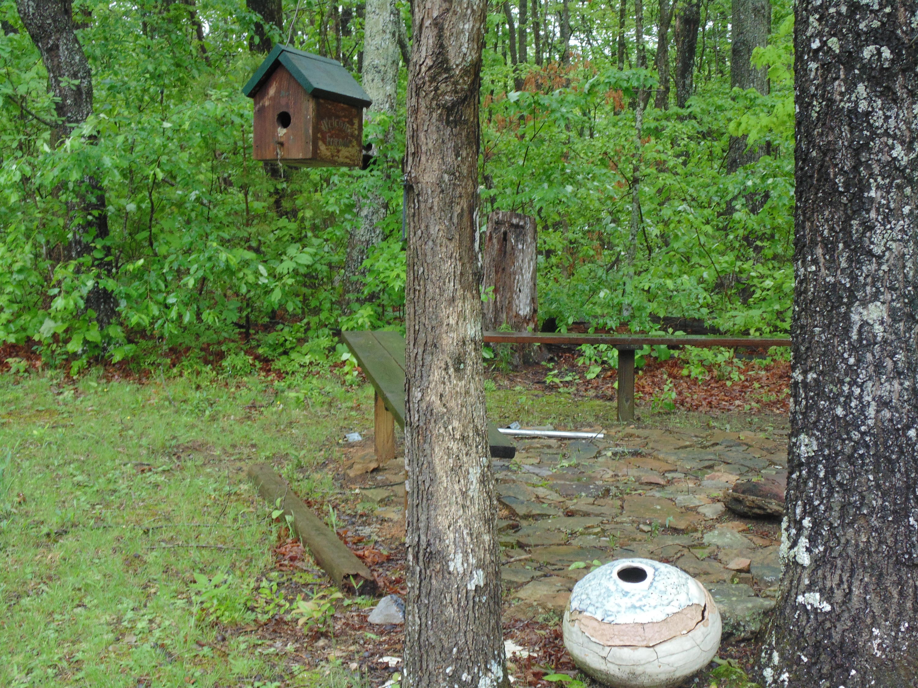 250 Stone Creek Road Rising Fawn, GA 30738 - Photo 50 of 53 DSC03365