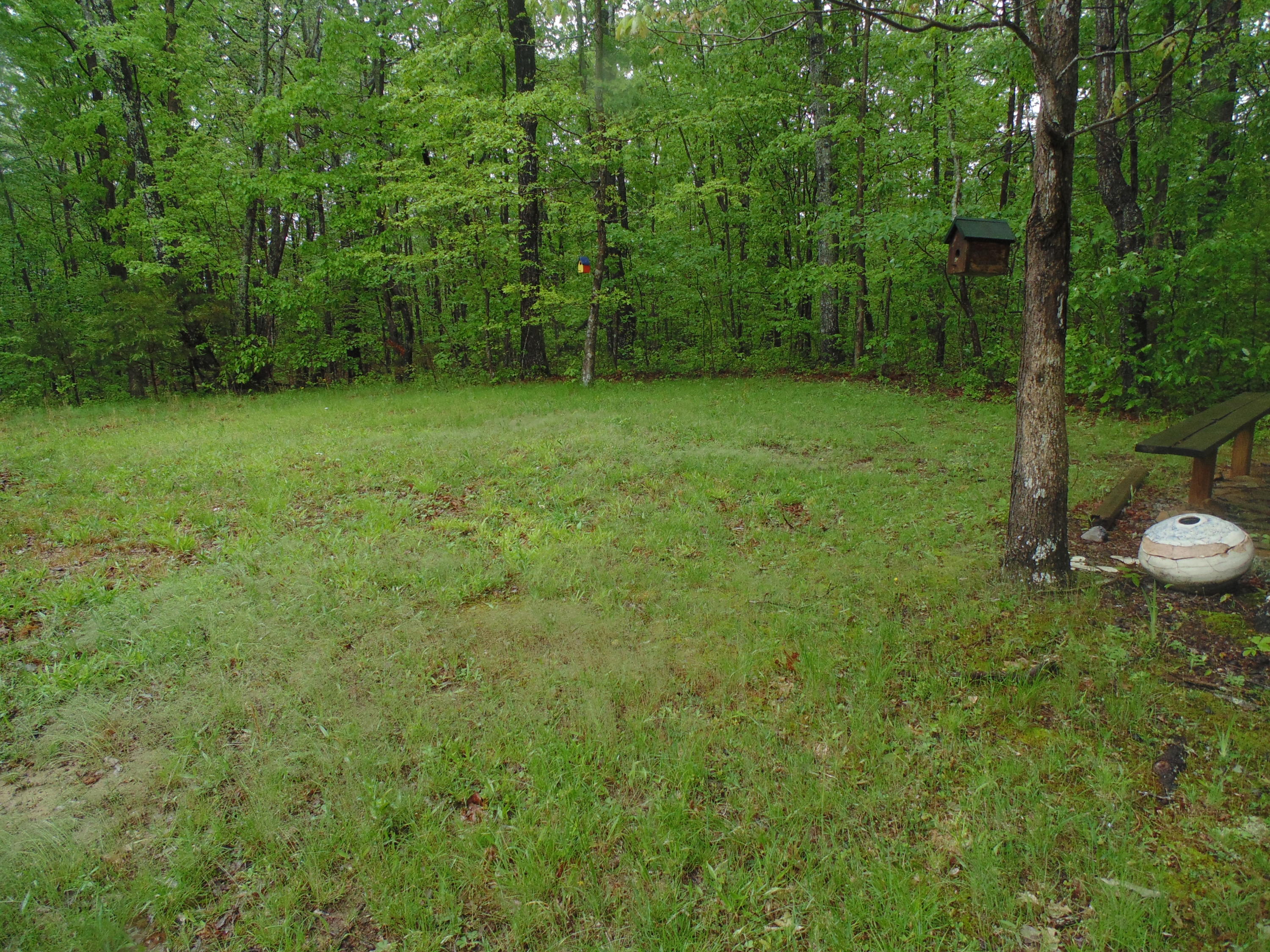 250 Stone Creek Road Rising Fawn, GA 30738 - Photo 51 of 53 DSC03367