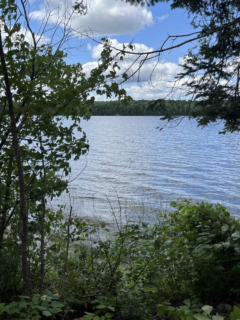 Lot 40 Woodland Ridge Road Danforth, ME 04424 - Photo 18 of 22 D420E65F-E437-4757-B107-655C55064BFD_1_1