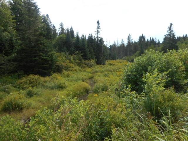202 Indian River Road Addison, ME 04606 - Photo 7 of 13 Photo