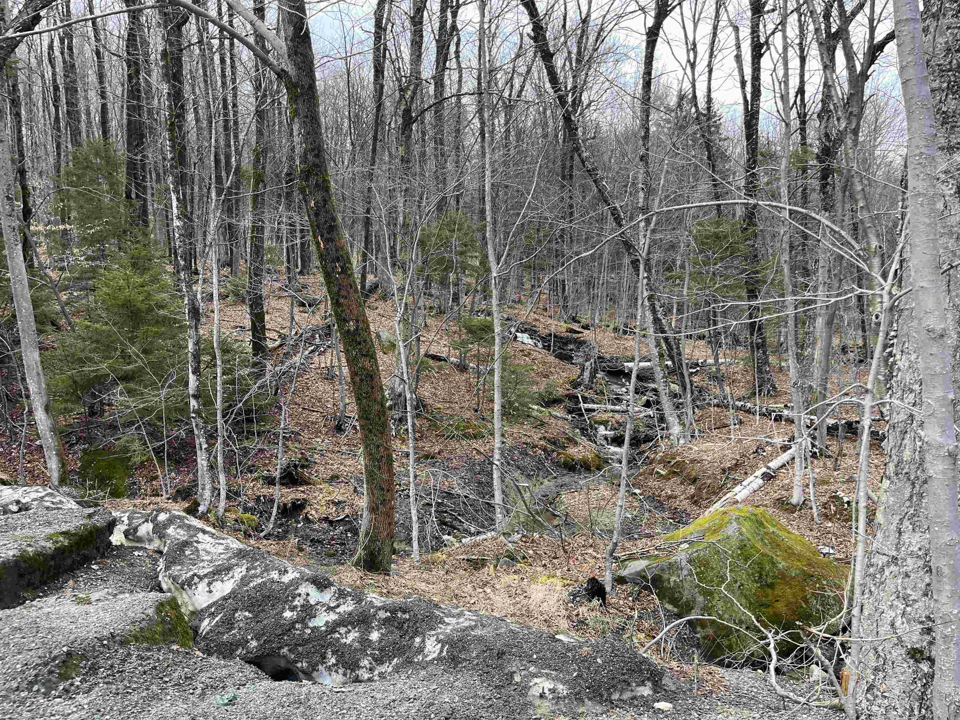 9 F Brumms Way, Unit 9F West Dover, VT 05356 - Photo 41 of 48