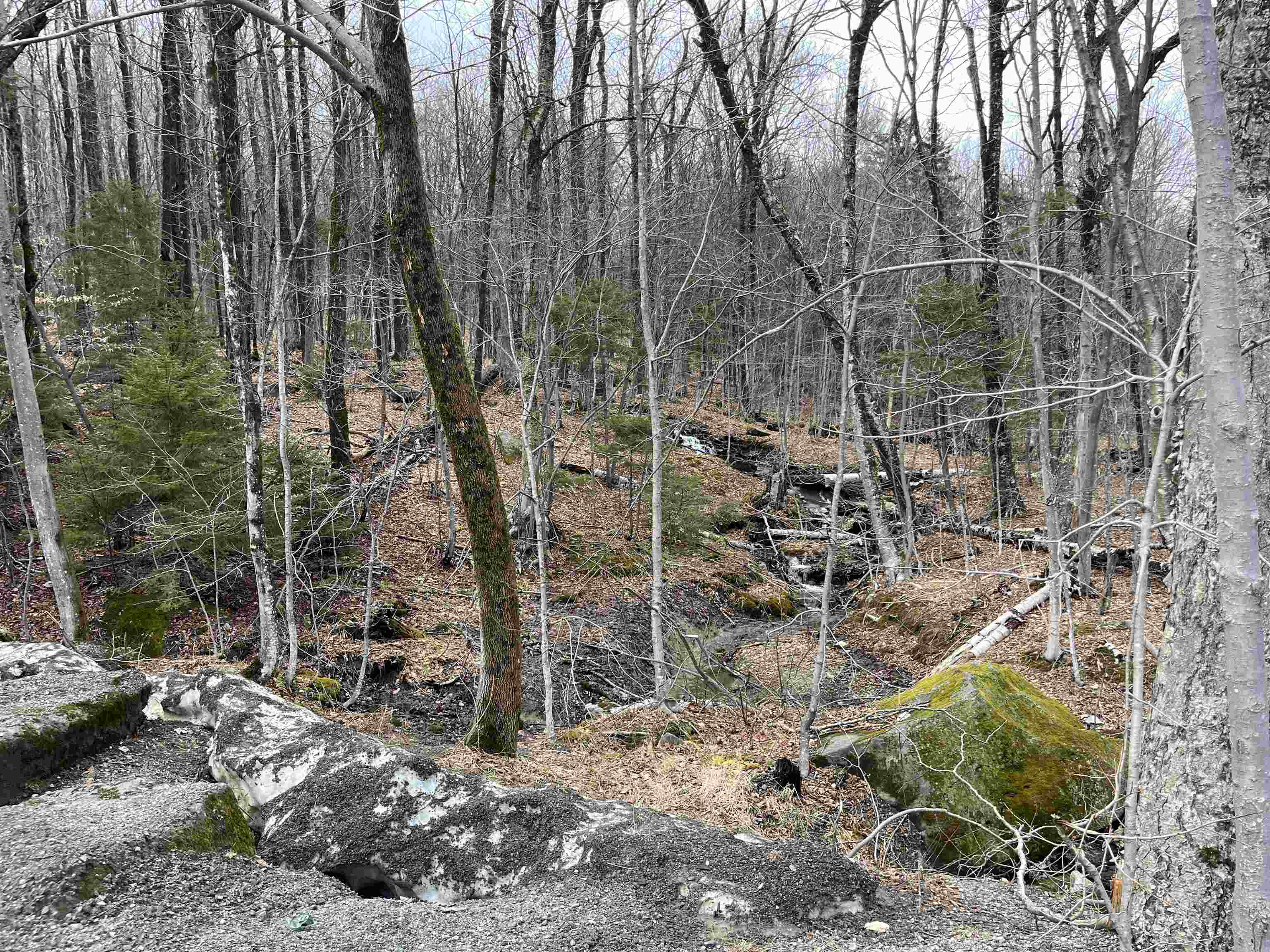 9 F Brumms Way, Unit 9F West Dover, VT 05356 - Photo 42 of 48