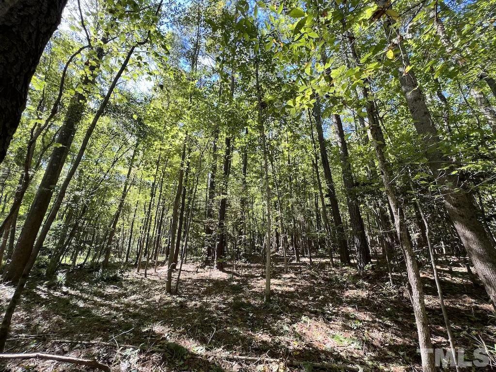 1 Sims Bridge Road Kittrell, NC 27544 - Photo 1 of 30 a view of forest
