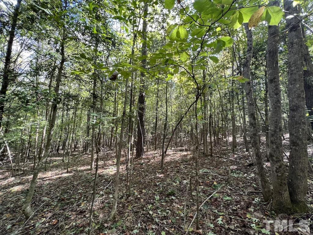 1 Sims Bridge Road Kittrell, NC 27544 - Photo 11 of 30 a view of outdoor space and trees