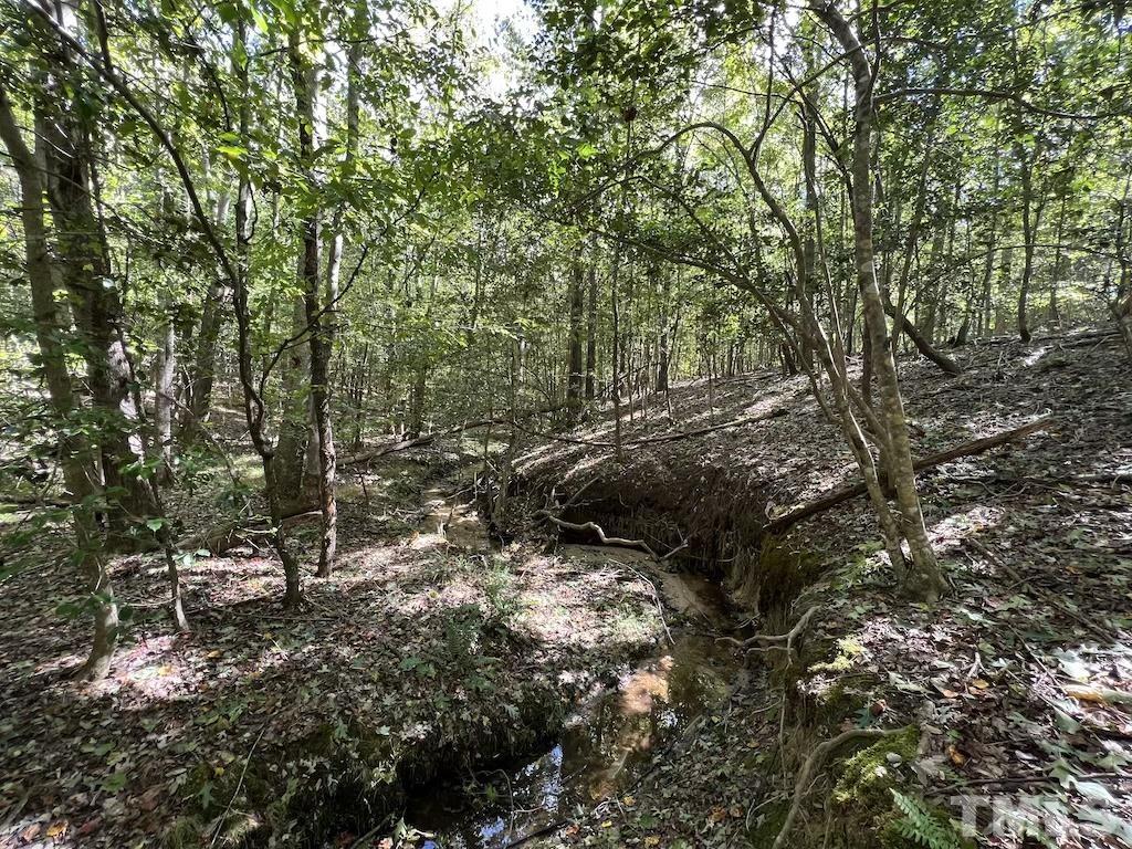 1 Sims Bridge Road Kittrell, NC 27544 - Photo 13 of 30 a view of outdoor space and a yard