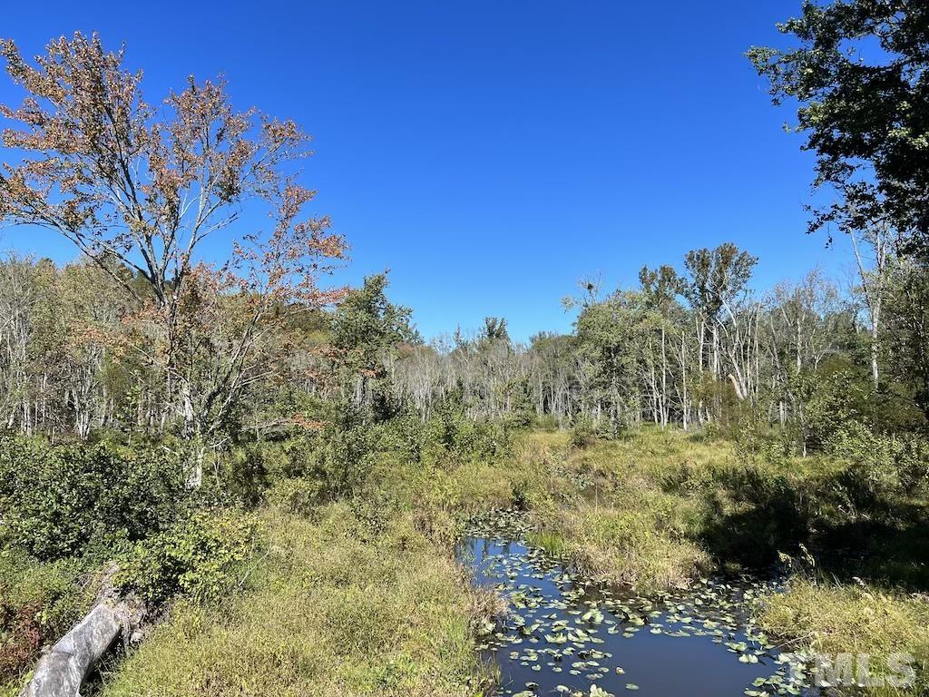 1 Sims Bridge Road Kittrell, NC 27544 - Photo 14 of 30 a view of a garden with a tree