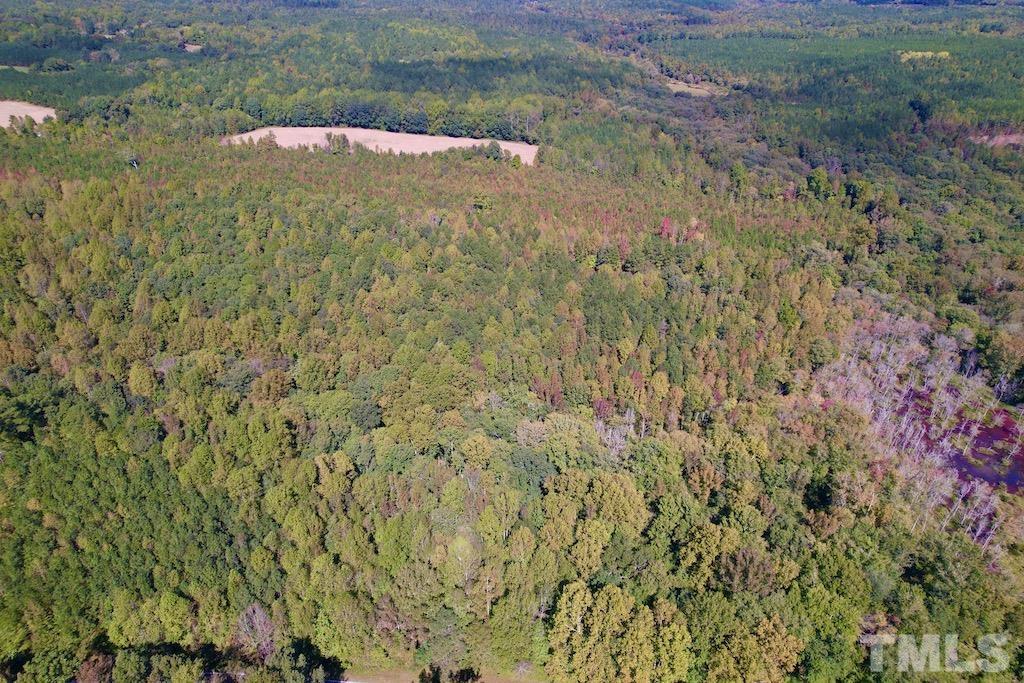 1 Sims Bridge Road Kittrell, NC 27544 - Photo 16 of 30 a view of a small yard