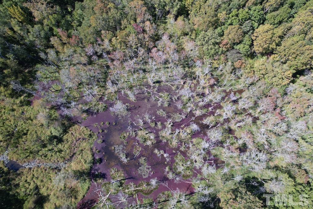 1 Sims Bridge Road Kittrell, NC 27544 - Photo 22 of 30 a view of a yard