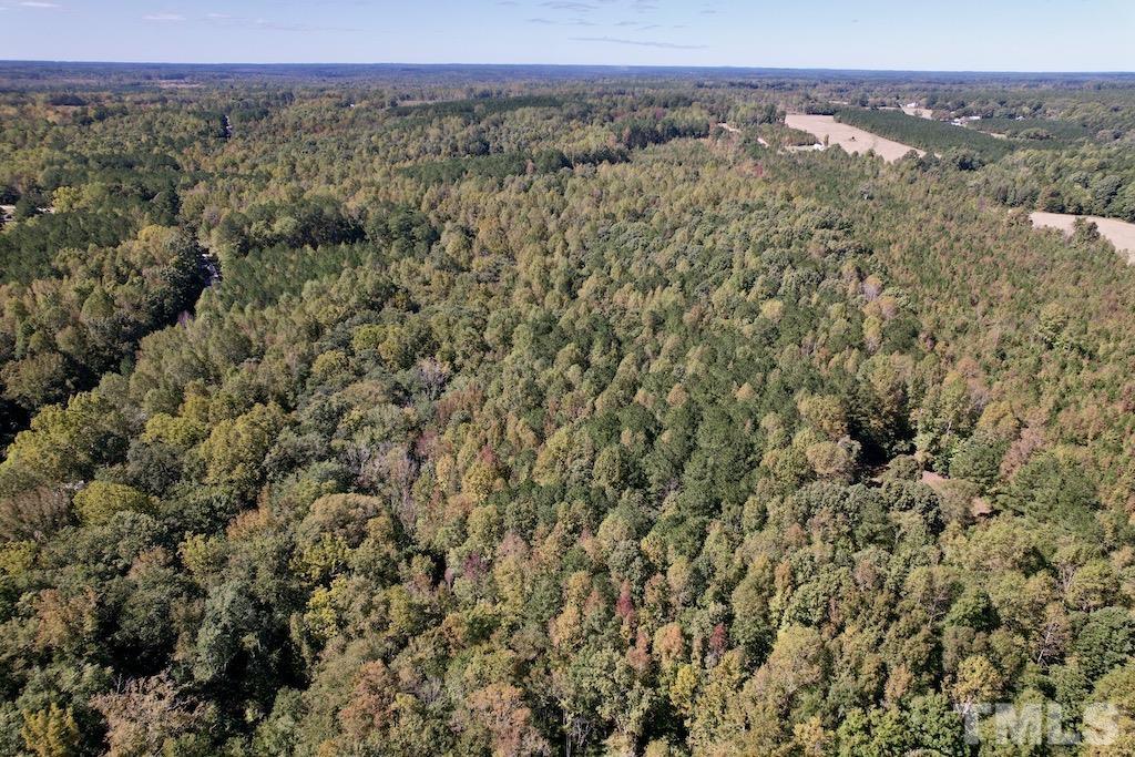 1 Sims Bridge Road Kittrell, NC 27544 - Photo 23 of 30 a view of a city with lush green forest