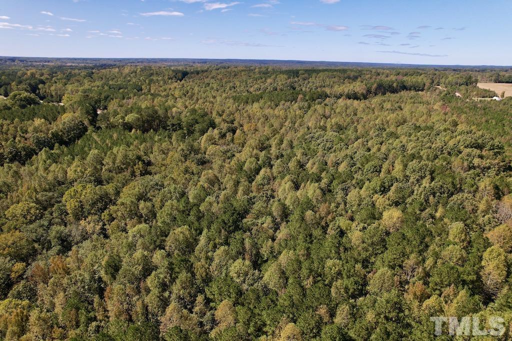 1 Sims Bridge Road Kittrell, NC 27544 - Photo 24 of 30 a view of a yard