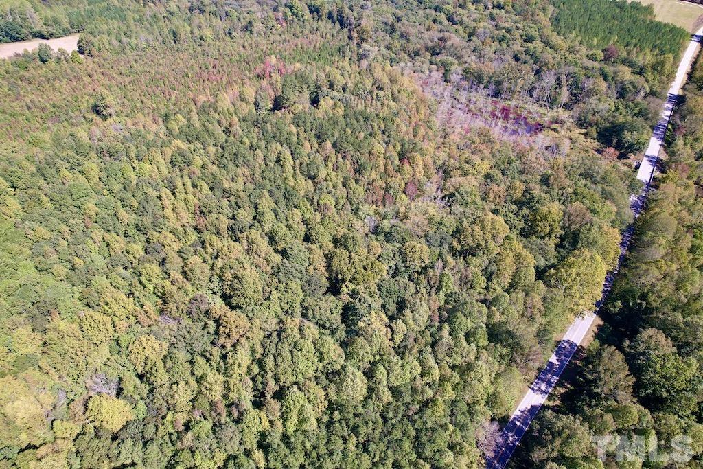 1 Sims Bridge Road Kittrell, NC 27544 - Photo 26 of 30 a view of a yard with plants and brick wall