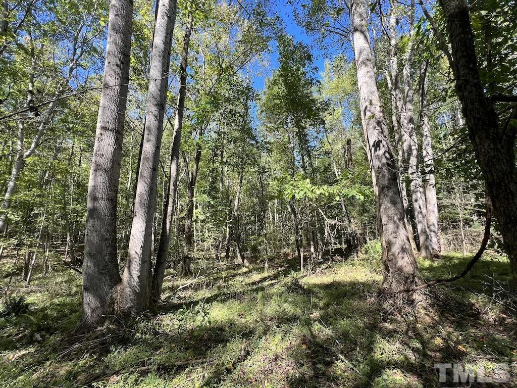 1 Sims Bridge Road Kittrell, NC 27544 - Photo 4 of 30 a view of outdoor space and green space