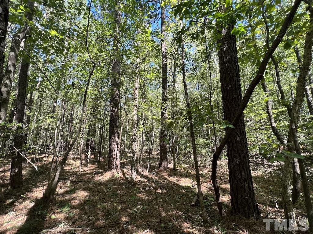 1 Sims Bridge Road Kittrell, NC 27544 - Photo 9 of 30 a view of forest