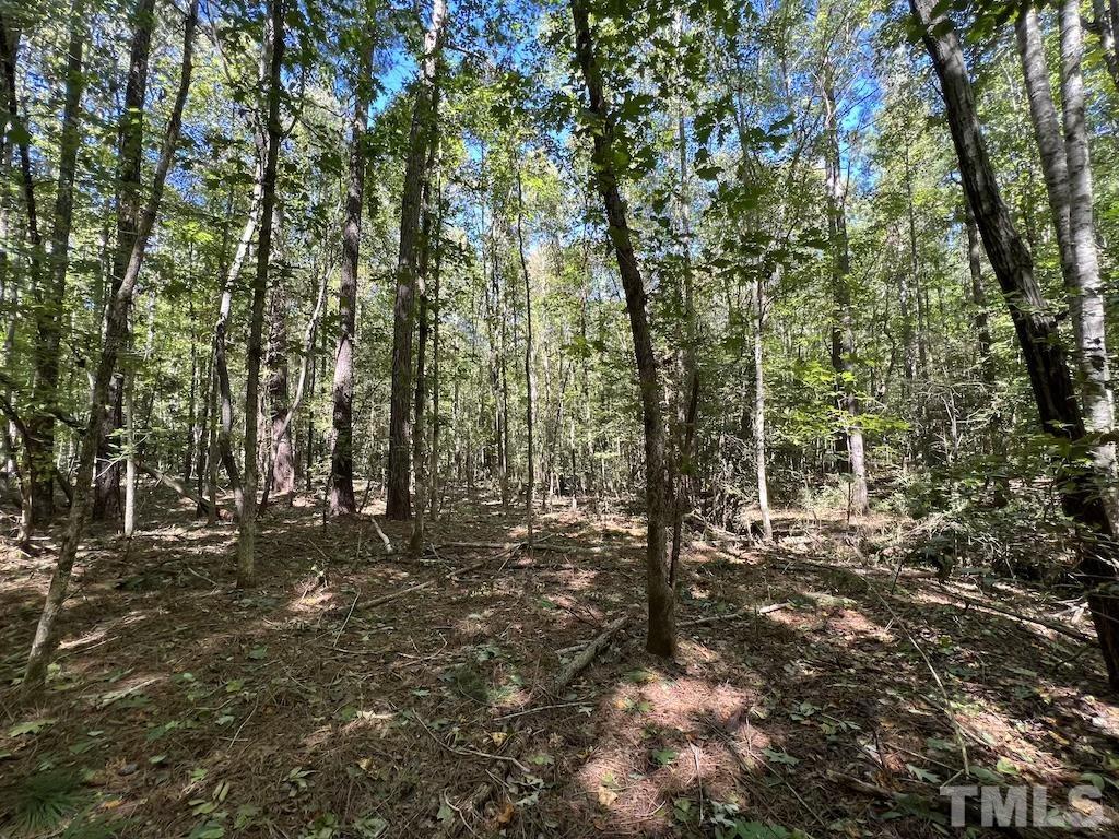 1 Sims Bridge Road Kittrell, NC 27544 - Photo 10 of 30 a big yard with lots of green space and trees