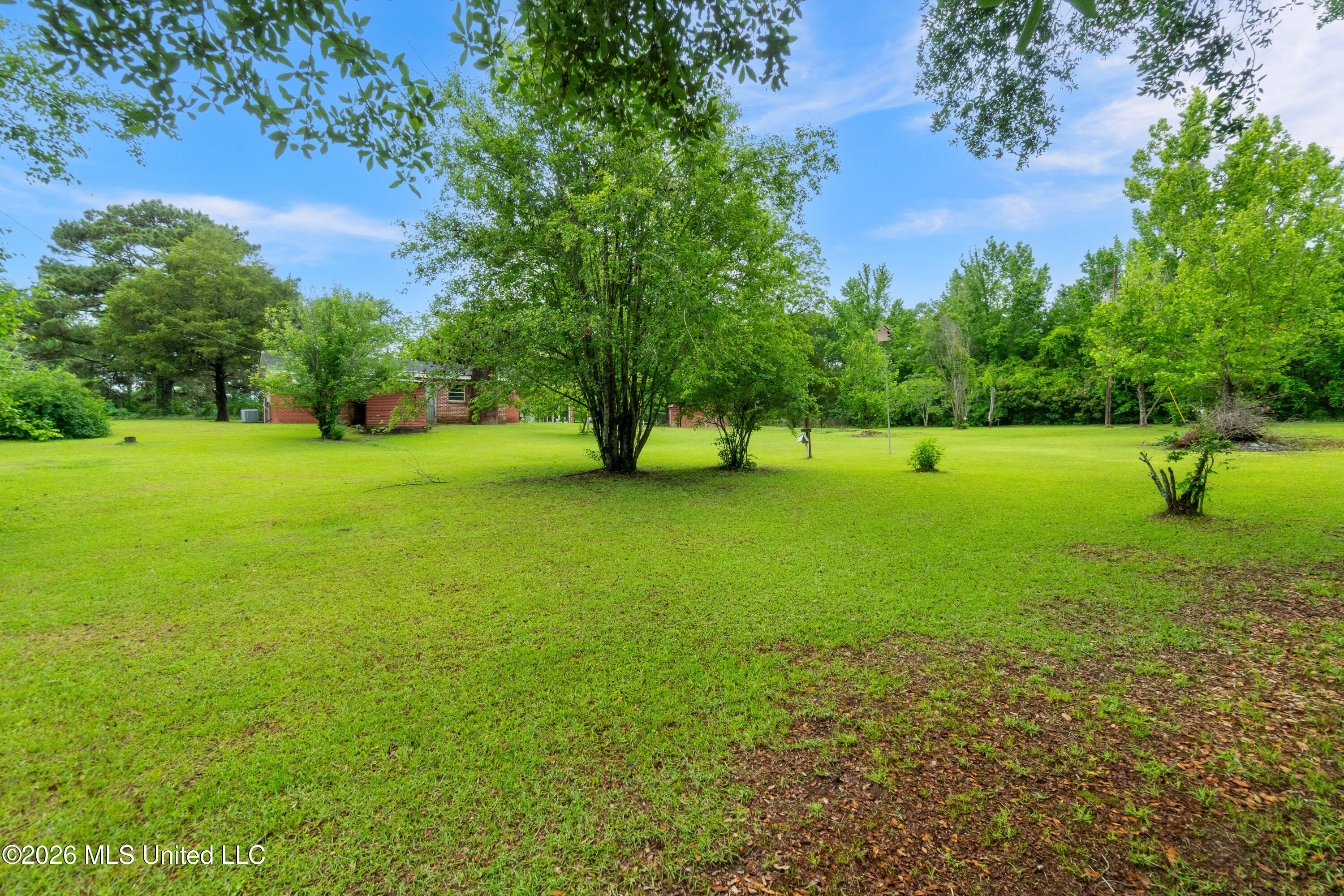 153 Memorial Church Road Richton, MS 39476 - Photo 33 of 43 153_Memorial_Church_Road-33