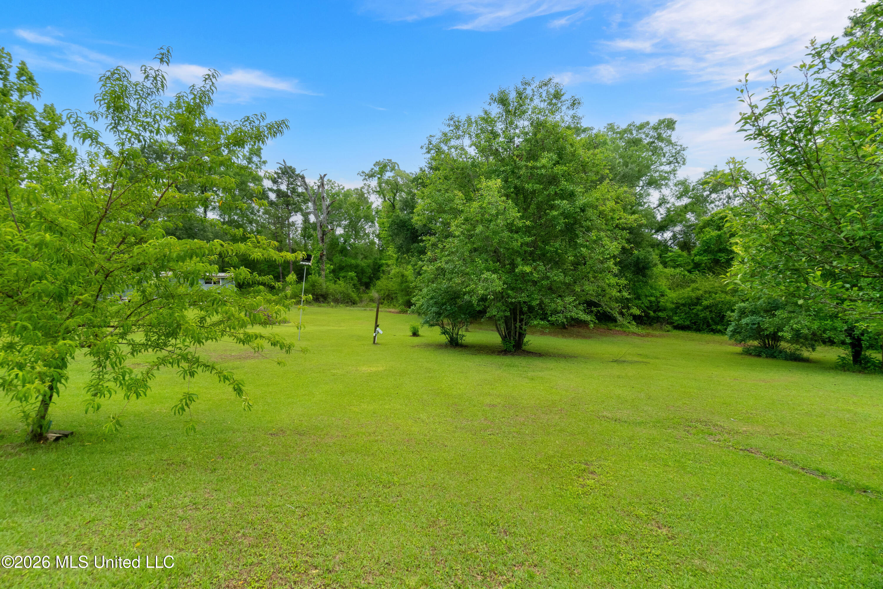 153 Memorial Church Road Richton, MS 39476 - Photo 35 of 43 153_Memorial_Church_Road-35