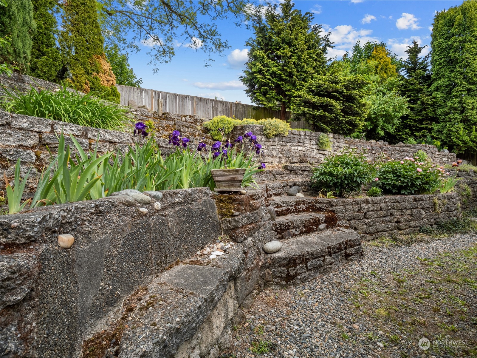 8414 14th Avenue Southwest Seattle, WA 98106 - Photo 17 of 20 a garden with flowers and a bench