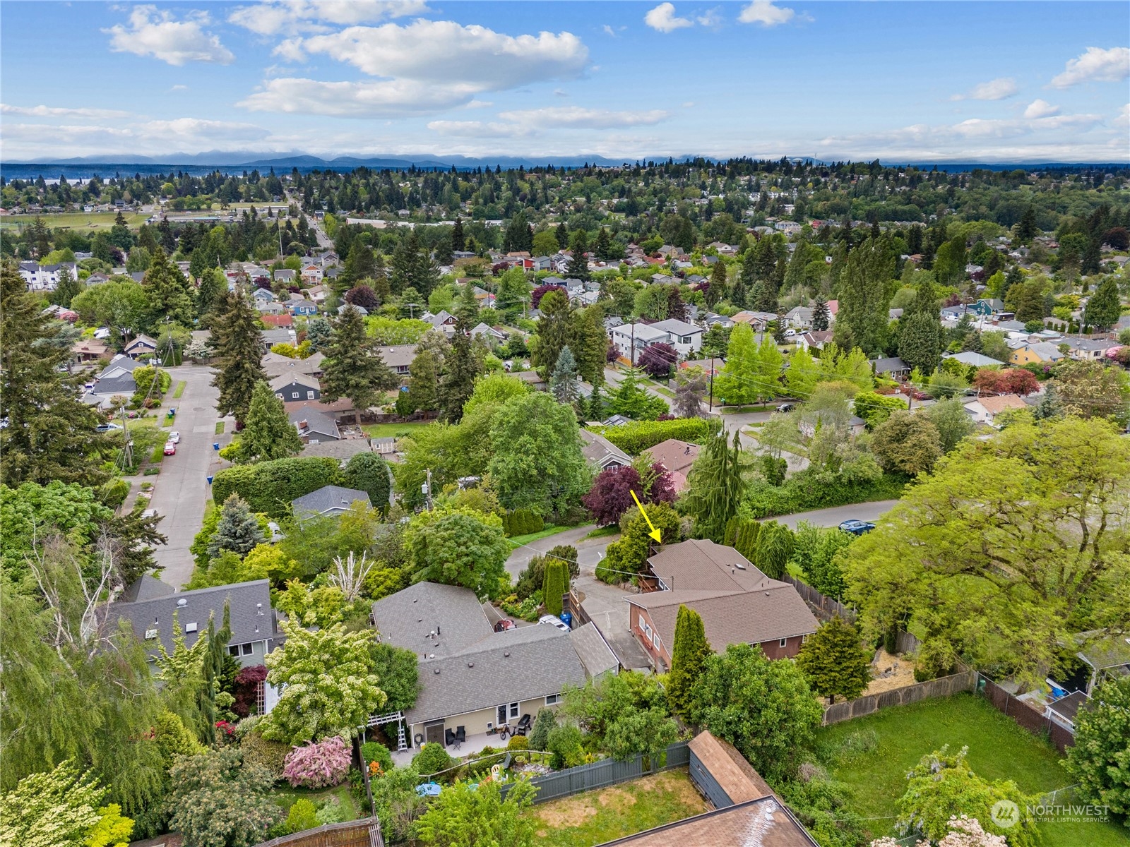 8414 14th Avenue Southwest Seattle, WA 98106 - Photo 19 of 20 a view of a city