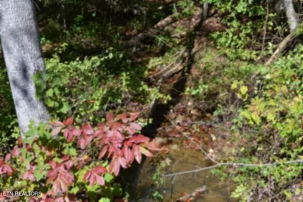 $30,000 | Lot 1 Arrow Trail, Monterey, TN 38574