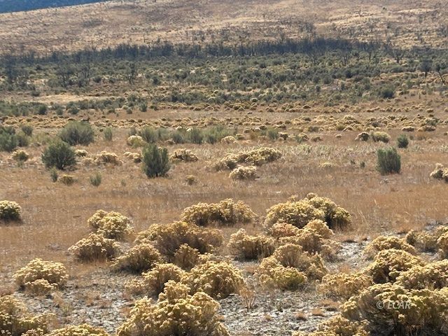 Moor Road Wells, NV 89835 - Photo 3 of 5