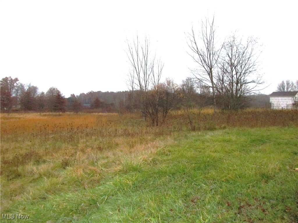 Palmyra Road Warren, OH 44481 - Photo 3 of 3
